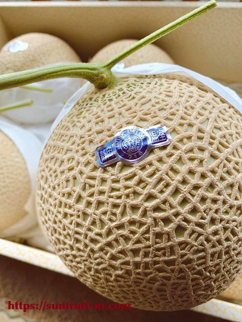 サンフルーツもちづき
