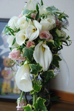 花*hana