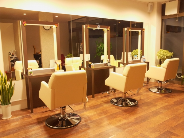 Hair Salon Leap
