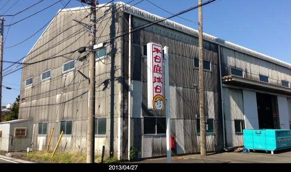 本日庭球日