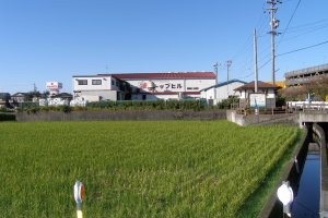 株式会社トップヒル