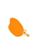 かぴらばす保育園