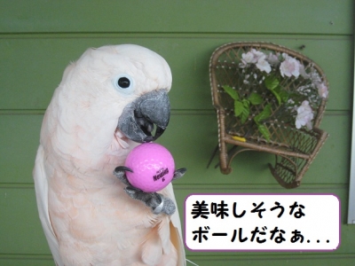 ゴルフスクールセブンツー（７２）