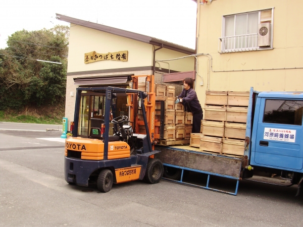 有限会社みつばち牧場