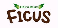 FICUS (Hair&Relax FICUS)