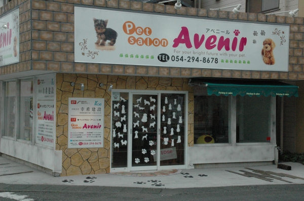 ペットショップ＆サロン　Avenir アベニール