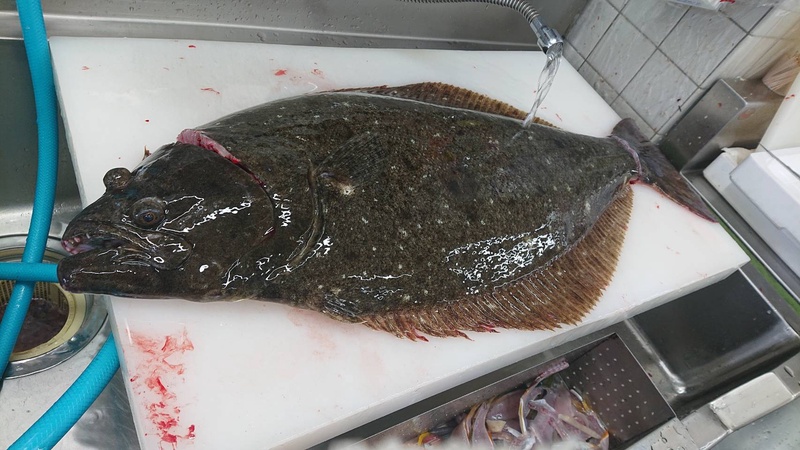 熱海の有名な魚屋さんホテルや旅館に高級寿司屋
老舗の飲食店に新鮮な鮮魚を卸している創業90年以上の...