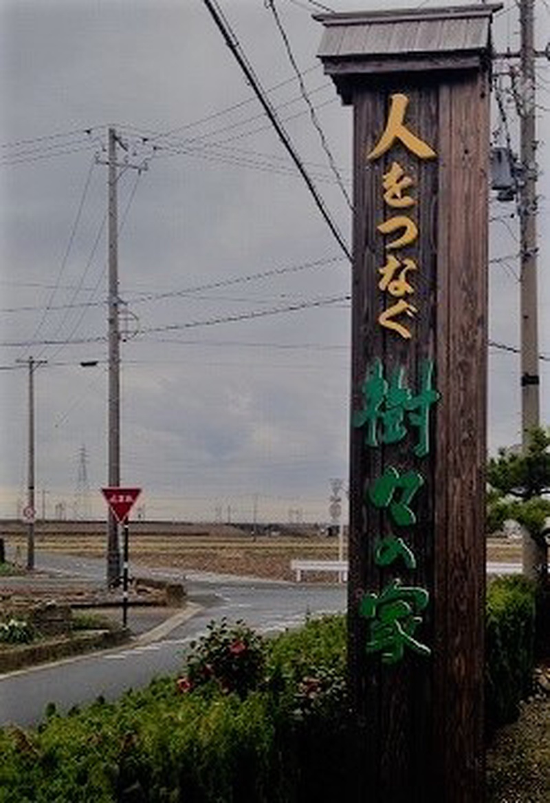 樹々の家の写真