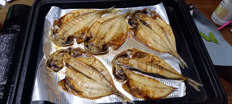 アジを食べます‼️楽しみにしてました
アジくん、ご無沙汰してました。
綺麗なアジ、干物って、食べ...