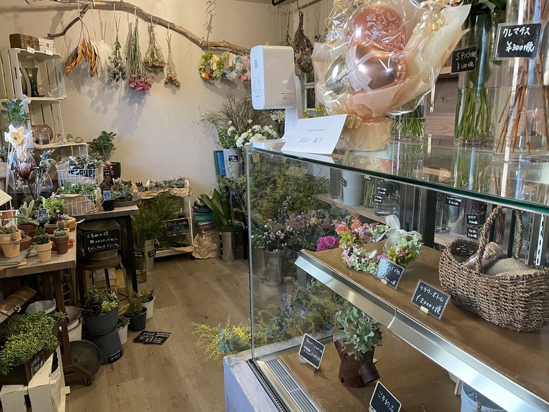 庭や心花・(N)kohanaの写真