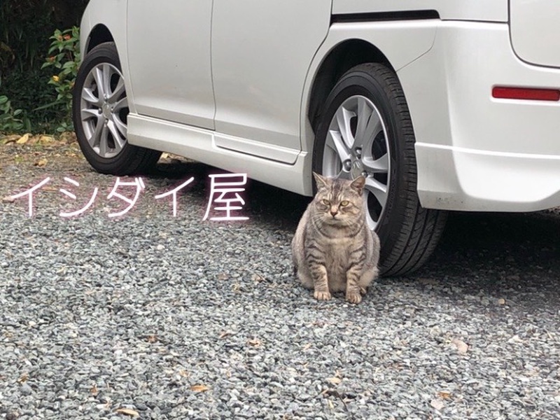テクニカルオート・イシダイ屋の写真