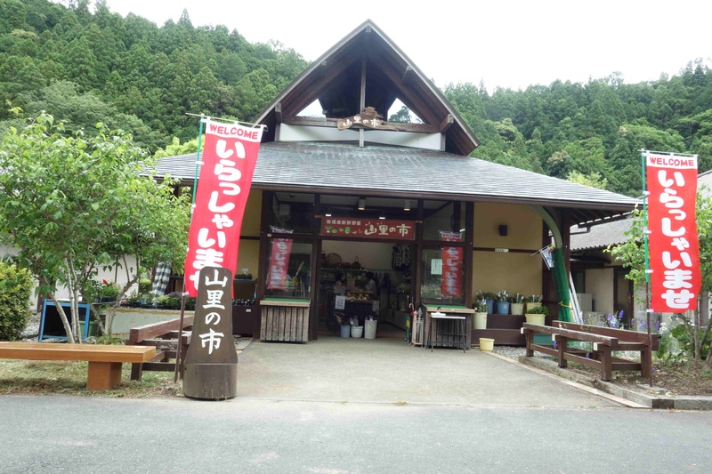 森町のアクティ森施設内にある「山里の里」で三倉茶農協のお茶（一番茶）を販売しております。
